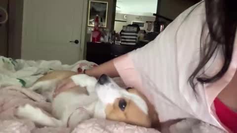 Snapshot of hiddenr0se chatting on 14, 2, 2026 HiddenR0se online show from 14, 2, 2026