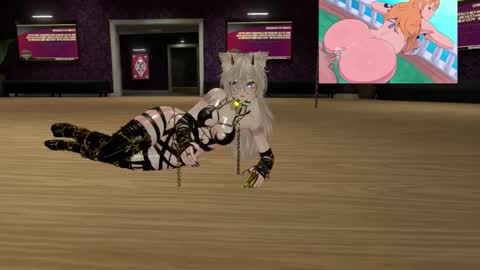 himexx online show from 29, 10, 2025