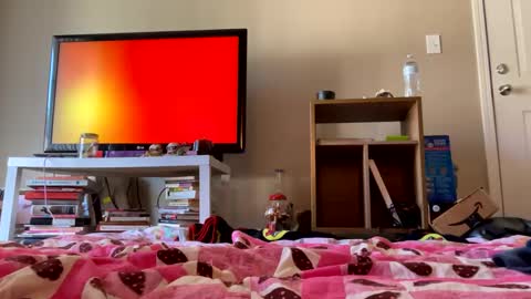 Snapshot of hippieangelbabi chatting on 11, 12, 2024 angelbabi online show from 11, 12, 2024