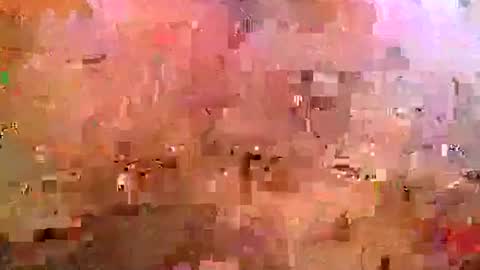 Snapshot of hogdogking chatting on 25, 4, 2026 midwestchamp online show from 25, 4, 2026