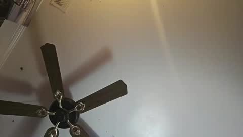 hoglegg99384194 online show from 2, 11, 2025