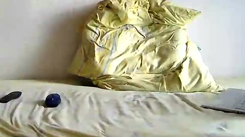 hol15 online show from 22, 10, 2025