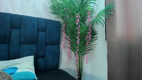 holly online show from 24, 11, 2025