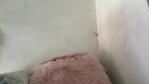 Snapshot of holly_wyn chatting on 24, 3, 2026 holly_wyn online show from 24, 3, 2026