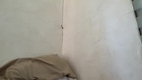 Snapshot of holly_wyn chatting on 11, 4, 2026 holly_wyn online show from 11, 4, 2026