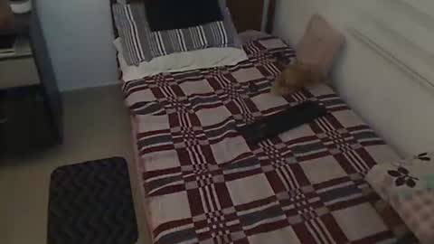 Snapshot of holofernes45gil chatting on 28, 3, 2026 Holofernes45gil online show from 28, 3, 2026