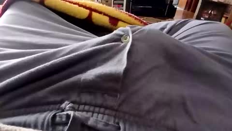 holycannoli123 online show from 3, 12, 2025