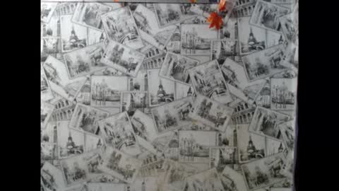 Lina online show from 8, 11, 2025