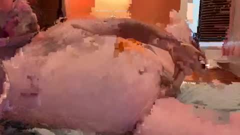 horndawglove online show from 6, 1, 2025