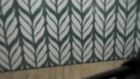 Jan online show from 4, 1, 2025