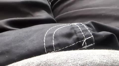 Tiny cock online show from 31, 1, 2026