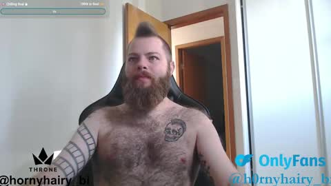 Snapshot of hornyhairy_bi chatting on 16, 4, 2026 Harry online show from 16, 4, 2026