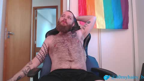 Snapshot of hornyhairy_bi chatting on 3, 5, 2026 Harry online show from 3, 5, 2026