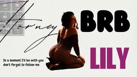 LILY online show from 8, 11, 2025