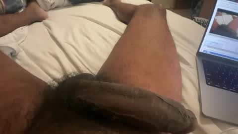 Snapshot of horsedick1236 chatting on 16, 2, 2025 Bbc horsey online show from 16, 2, 2025