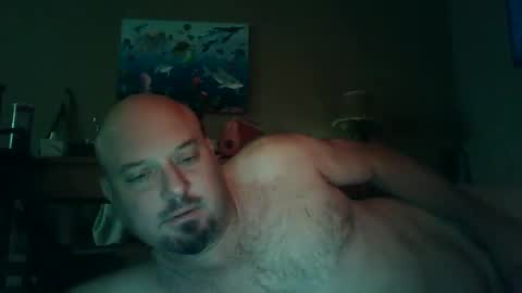 Snapshot of horsenamedcharlie chatting on 8, 12, 2024 Charles online show from 8, 12, 2024