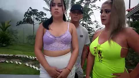 kittens online show from 6, 6, 2026