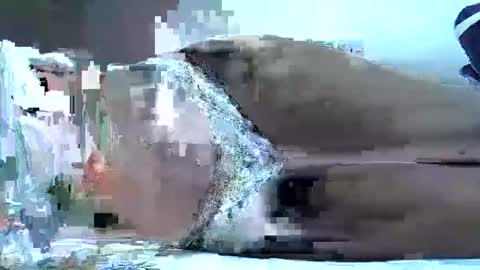 hotberry_7 online show from 6, 4, 2026