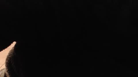 hotboxbbyz online show from 22, 12, 2025