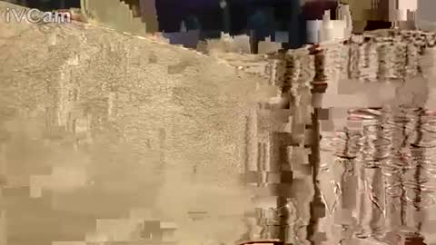 Snapshot of hotcapolx chatting on 17, 11, 2025 Hotcapolx online show from 17, 11, 2025