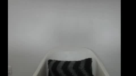 hotjessie0 online show from 11, 2, 2026