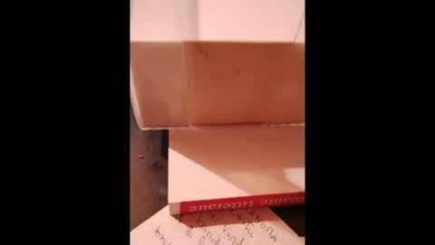 hotlux_54 online show from 18, 7, 2026