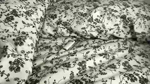 Snapshot of hotmama6666 chatting on 21, 4, 2026 Annabelle online show from 21, 4, 2026