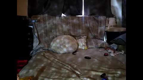 hotrox6942 online show from 24, 9, 2025