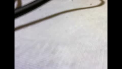 HottestPiny29 online show from 26, 5, 2026