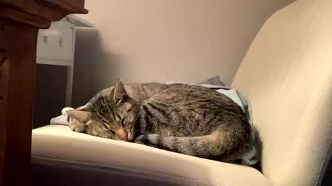 hottiewithabody101 online show from 11, 2, 2026