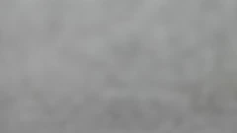 Slutty little female cat online show from 14, 9, 2025