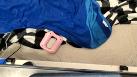 Snapshot of htfsb chatting on 17, 3, 2026 htfsb online show from 17, 3, 2026