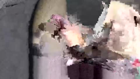 Huge dick online show from 2, 12, 2025