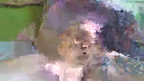hugo_theboss_ online show from 8, 2, 2025