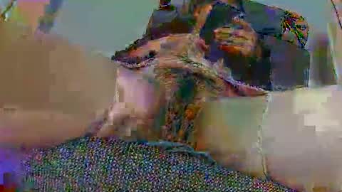 hujiajia520321431 online show from 10, 11, 2025