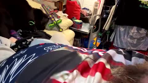 hulk1148 online show from 1, 12, 2024