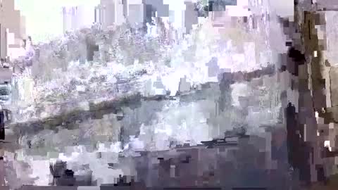 humandildo4u online show from 3, 1, 2025