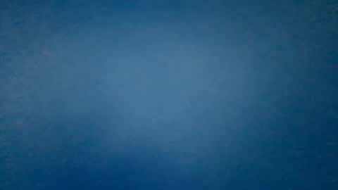 Snapshot of hummelbummel00 chatting on 14, 2, 2026 hummelbummel00 online show from 14, 2, 2026