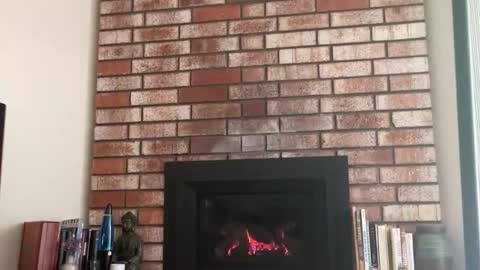 hung_well57 online show from 8, 4, 2026