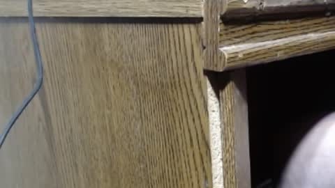 Snapshot of hungsofine chatting on 26, 12, 2024 hungsofine online show from 26, 12, 2024