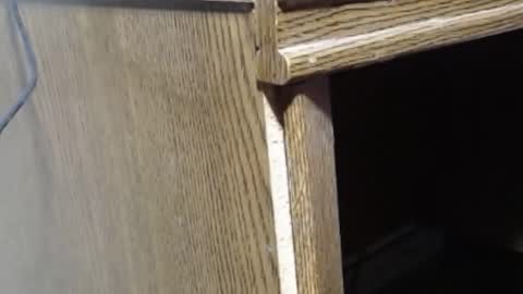 Snapshot of hungsofine chatting on 19, 2, 2025 hungsofine online show from 19, 2, 2025