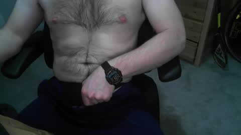 hungstud_again online show from 31, 1, 2026