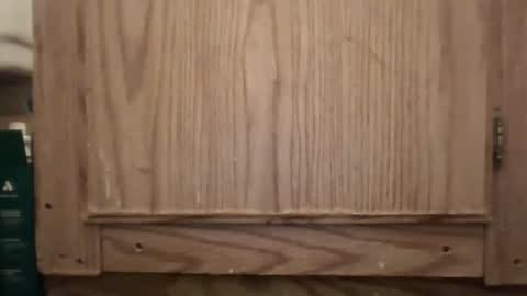 Hybrid Lover419 online show from 13, 2, 2026