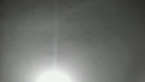 Snapshot of iam_naho chatting on 8, 3, 2026 NAHO online show from 8, 3, 2026