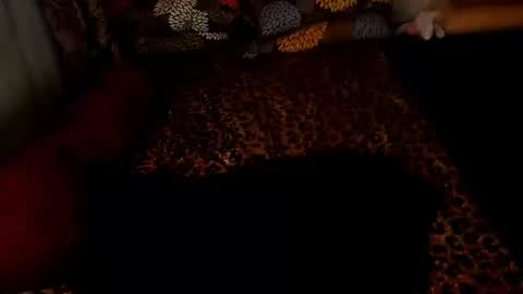 MADAM  MISTRESS ASIANA online show from 26, 12, 2024