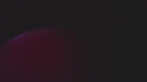  iara smith  online show from 15, 2, 2026