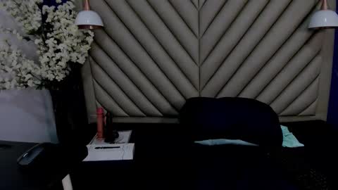 Snapshot of ibbie_ chatting on 9, 1, 2026 ibbie_ online show from 9, 1, 2026