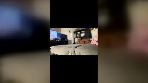 ibigboy666 online show from 20, 4, 2026