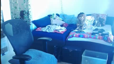 Snapshot of ibpms247 chatting on 24, 2, 2025 PMS online show from 24, 2, 2025