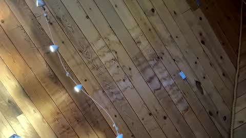 icanmakeyousquirt69 online show from 17, 3, 2026